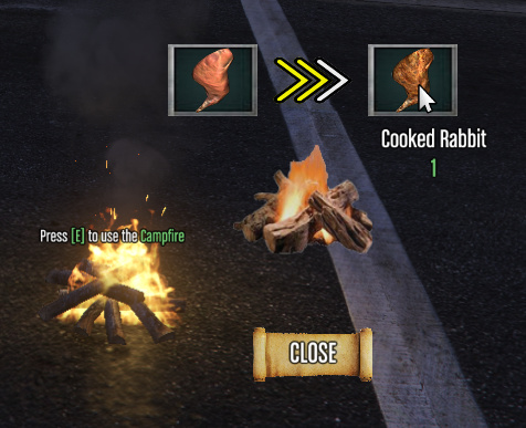 CAMP FIRE COOKING.jpeg