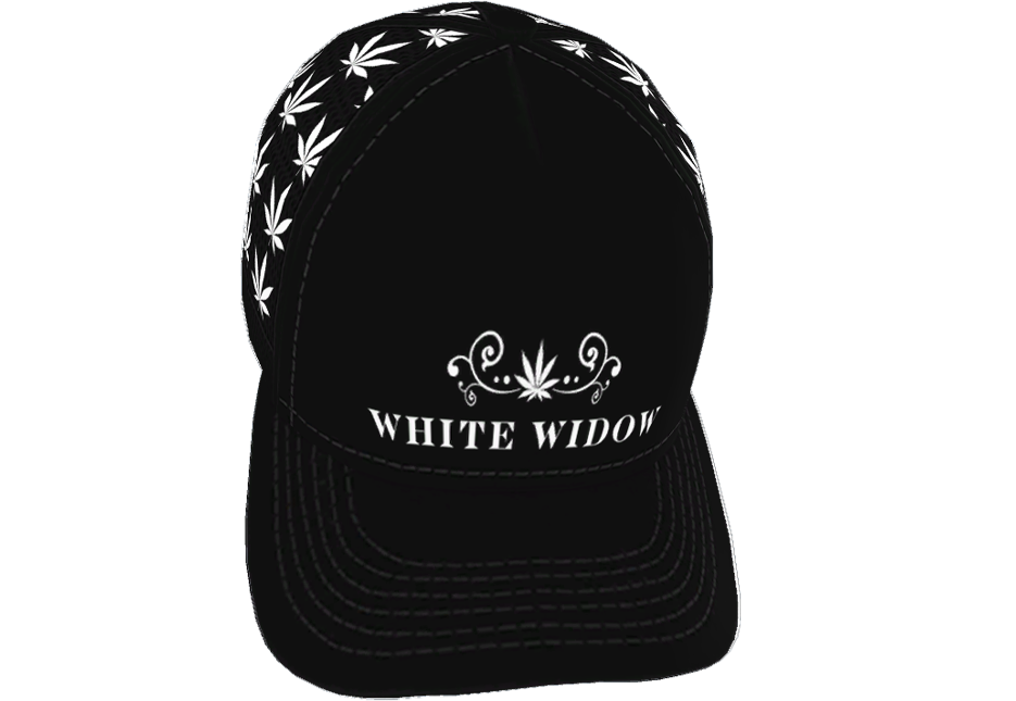 d43df307731e4bb475839a3089b01a56f7ffbd4b.png