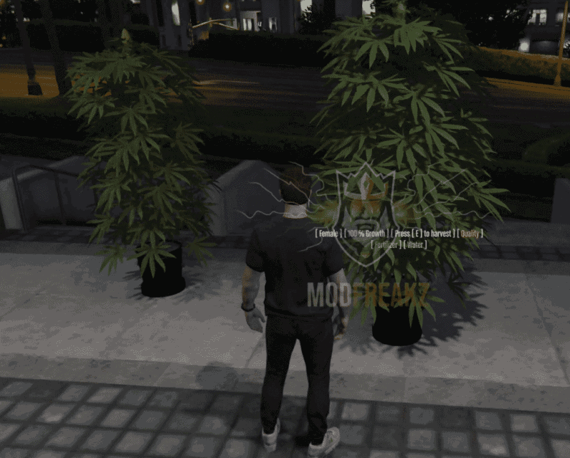 dopeplant-800x643.png