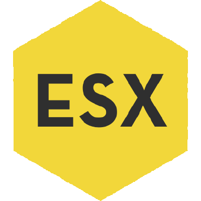 ESX 01.png