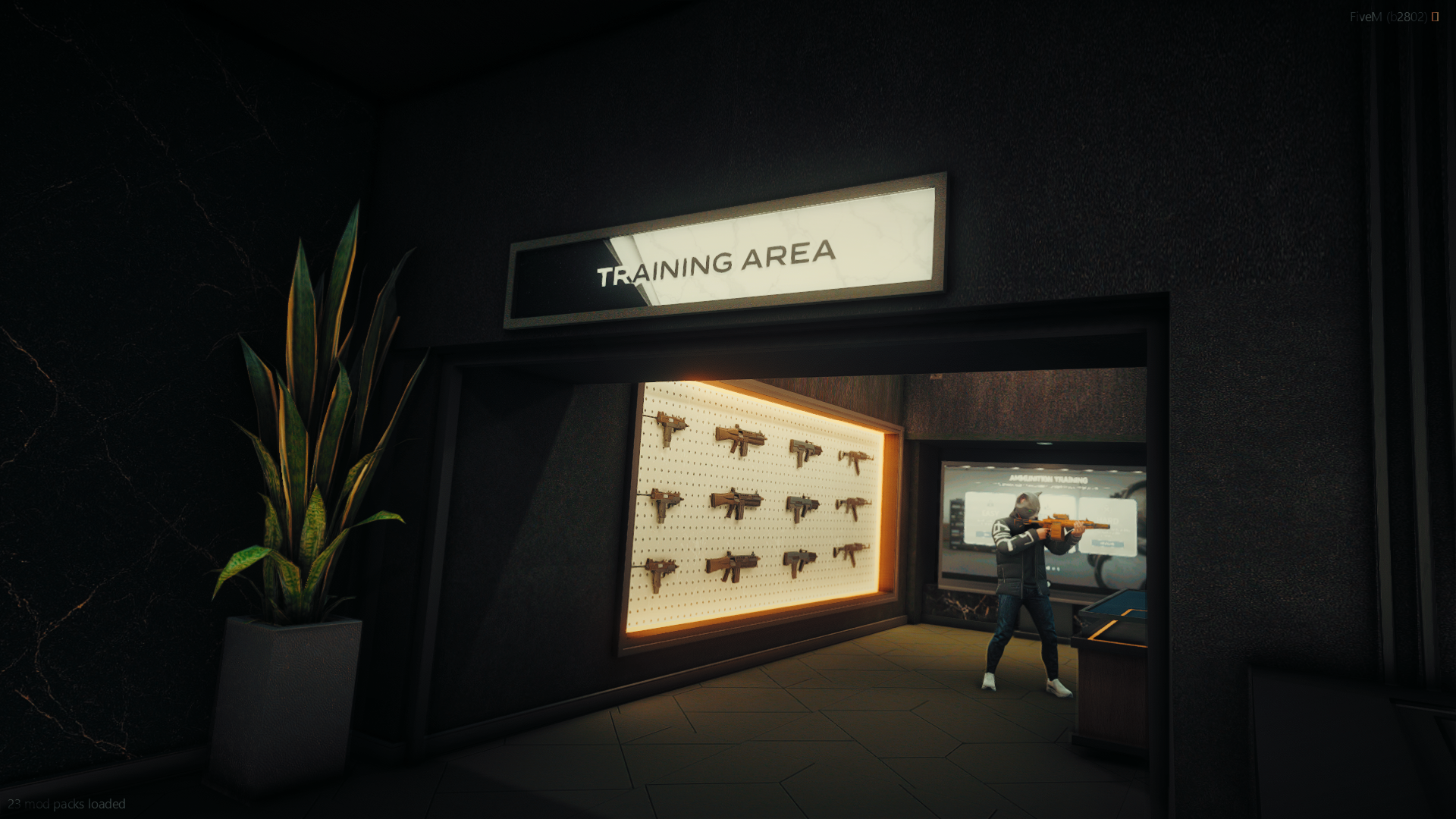 FiveM_b2802_GTAProcess 2025-08-15 22-20-19_184.png