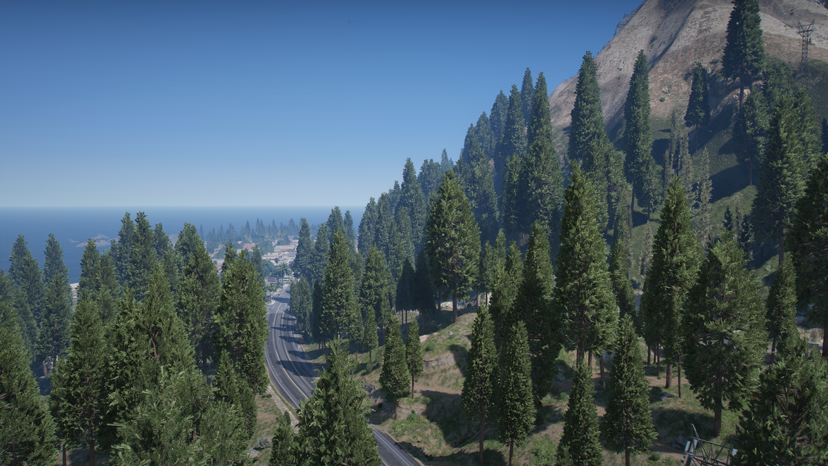 High-Forest.png