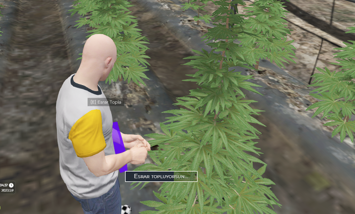 illegal1.png