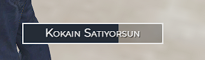 illegal5.png