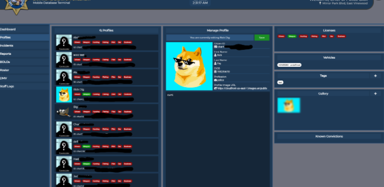 mdt.png