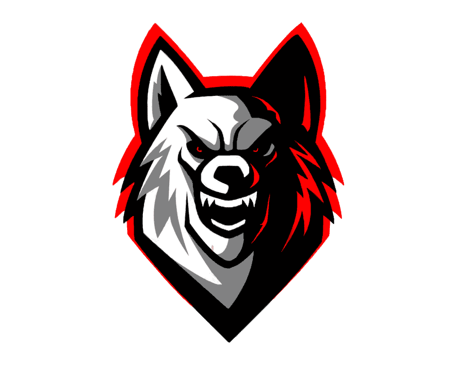 project_lyrox_transparent.png