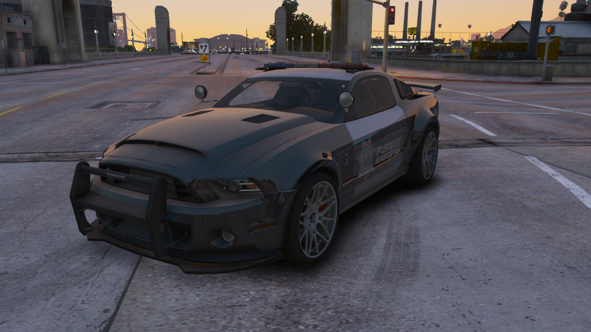shelby.png