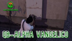 van-GTAV-.jpg