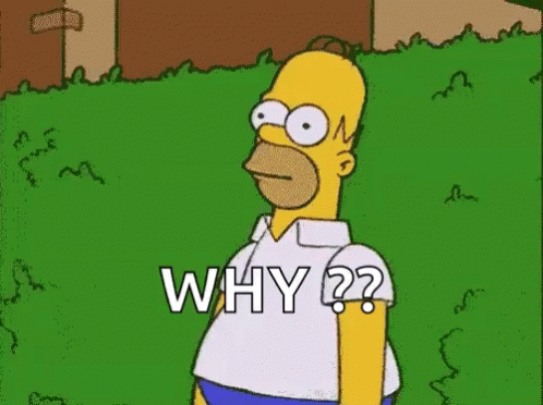 why-but-why[1].gif
