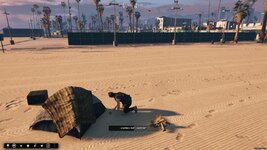 camp2.jpg