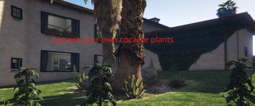 coke plants.jpg