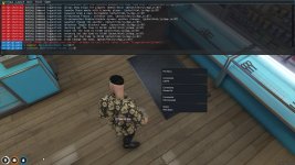 FiveM_b2189_GTAProcess_kbMROrkd5N.jpg