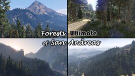 Forest.jpg