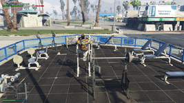 Grand Theft Auto V Screenshot 2024.10.26 - 07.05.42.18.png