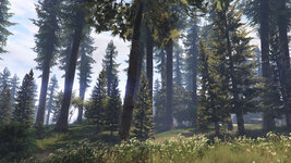 Forests-of-San-Andreas3.jpg Forests-of-San-Andreas3.jpg