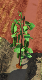 Screenshot 2025-06-02 132035.png