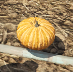 Screenshot 2025-06-02 132054.png