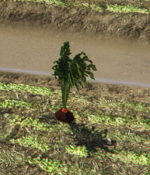 Screenshot 2025-06-02 132146.png
