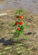Screenshot 2025-06-02 132215.png