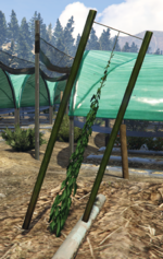 Screenshot 2025-06-02 132546.png