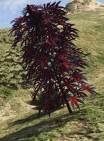 Screenshot 2025-06-02 132621.png