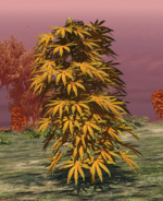 Screenshot 2025-06-02 132642.png