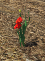 Screenshot 2025-06-02 132658.png