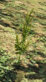 Screenshot 2025-06-02 132828.png