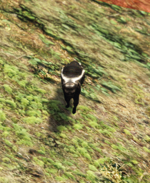Screenshot 2025-06-02 132840.png