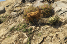 Screenshot 2025-06-02 132921.png