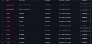 Screenshot 2025-11-14 120020.png
