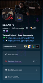 imageSESAR.png