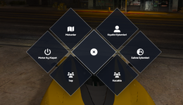 radial.png