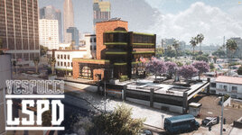 VespucciLSPD_Baner.jpg