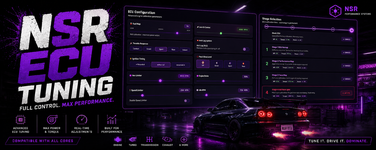 ecu-tuning.png