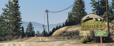 millars_photo3.png