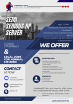 Blue Gray Modern Business Flyer.png