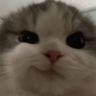 hndrazy25