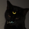 vodkareisito
