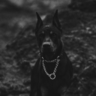 Ruselka