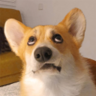 TuMi