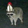 SmokeyRunsYou