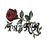 InsRR