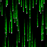 NetchDev