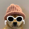 choofeddog