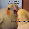 Ferreiraa588