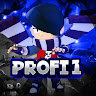 Profi1