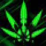 WeedPanda