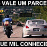 PITTBULLRG