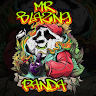 Mr_BlazingPanda